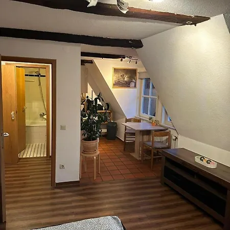 Wasserviertel Apartment *